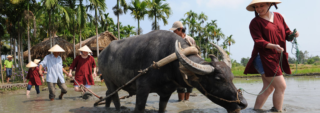 Vietnam Vacation