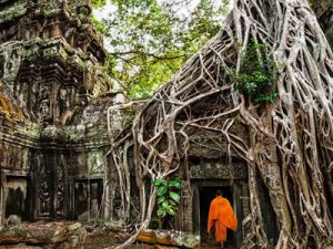 Essence of Siem Reap