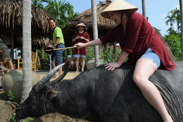 Riding buffalo experience - Vietnam Vacation