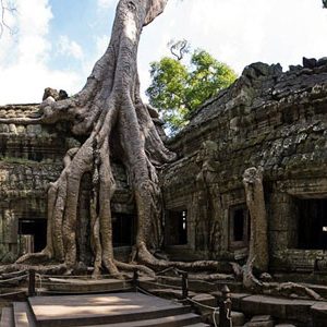 Ta Prohm Temple