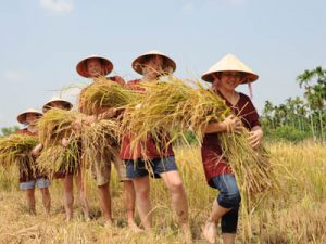 The farming & fishing life tour provides you with a close-up and intimate exposure to both the local farming and fishing communities.