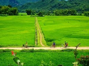 hanoi mai chau halong bay tour 7 days