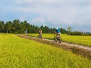 mekong detla soft cycling tour 2 days