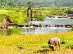 pu luong nature reserve vietnam adventure holidays