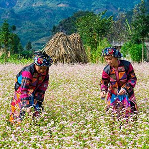 vietnam photo tour 27 days ha giang tour