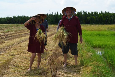 Hoi An Excursion Wet Rice Farmer Tour vietnam vacation package