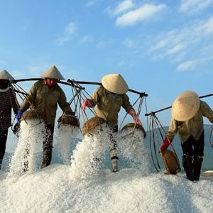 Bach Long Salt Making Village