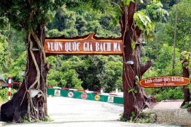 Bach Ma National Park | Top 5 Things to Do & Essential Guides