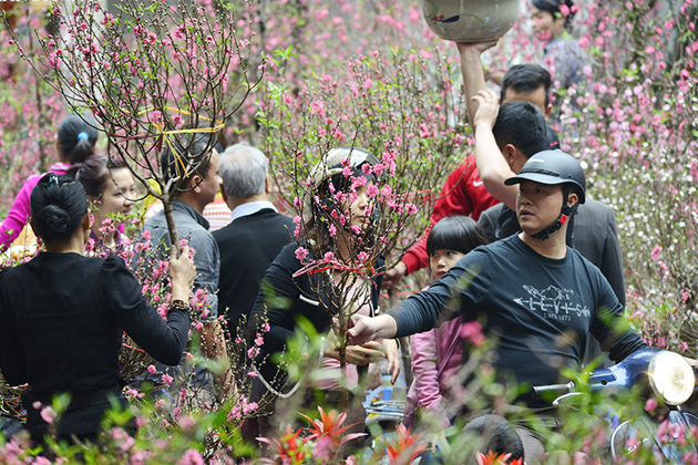 Atmosphere in the flower market during Tet holiday - Vietnam Vacation