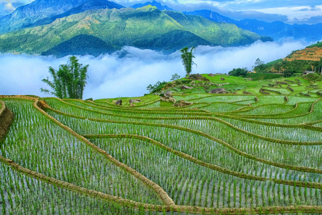 Breathtaking scenery of Sapa - Vietnam Vacation