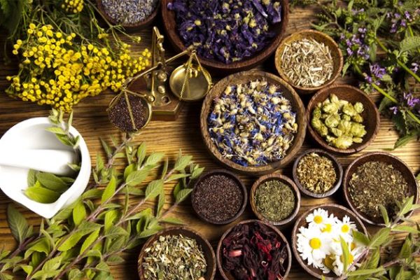 Vietnamese Traditional Medicine