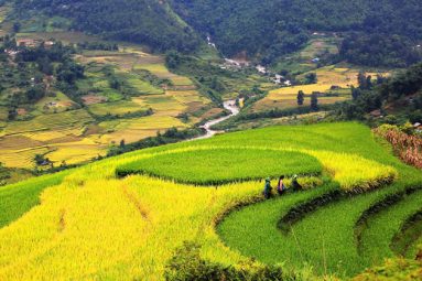 Lao Chai Village in Sapa | Top 4 Things to Do & See