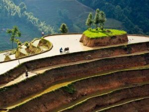 ha giang tour in depth 5 days