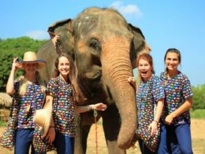 experience Elephant Sanctuary in thailand vietnam vacation packages