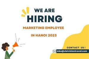 Marketing Intern Part-time 2023 - Viet Vision Travel