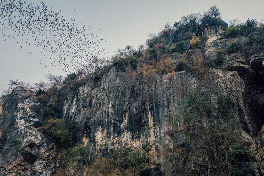 Battambang Bat Caves- Indochina tour package