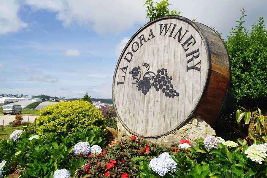 Lado wine factory,Dalat-Vietnam tour packages