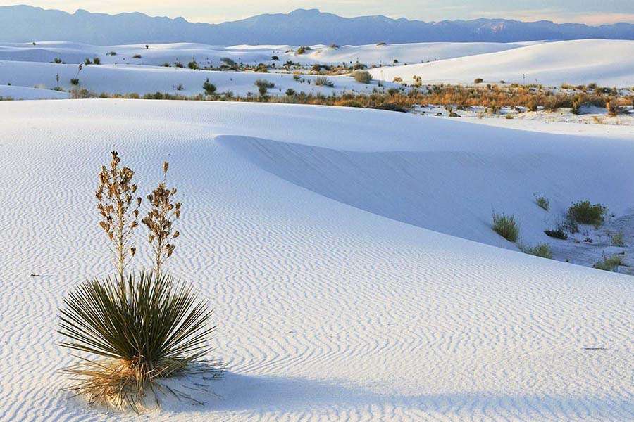 Mui Ne white sand dunes - Indochina tour package