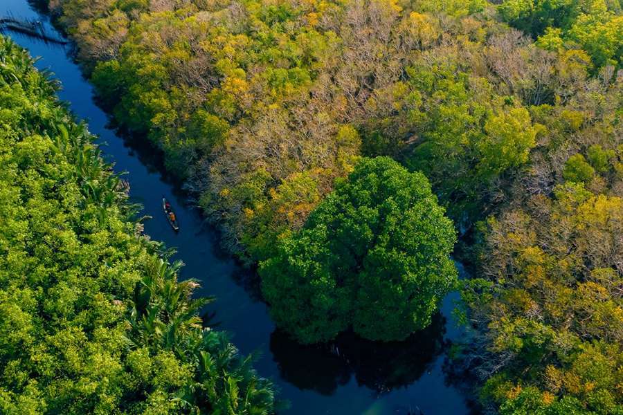 Ru Cha mangroves - Vietnam Laos tour