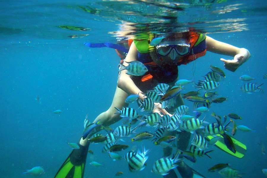 Snorkeling Tam Island Nha Trang -Vietnam tour packages