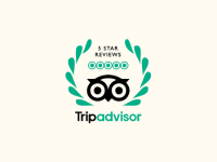 trip advisor review -vietnam vacation package